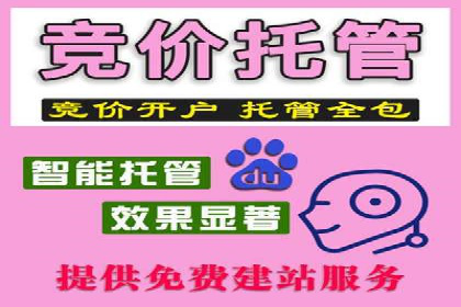 竞价账户代运营，提升广告效果实战案例