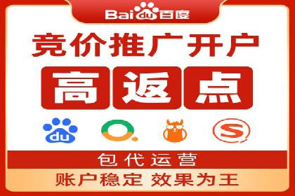 竞价推广中的着陆页策略：成功案例解读